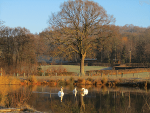 Woodside Country Park in the Autumn